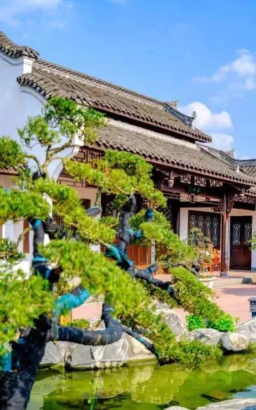 篮球协调训练的成功案例分析_2